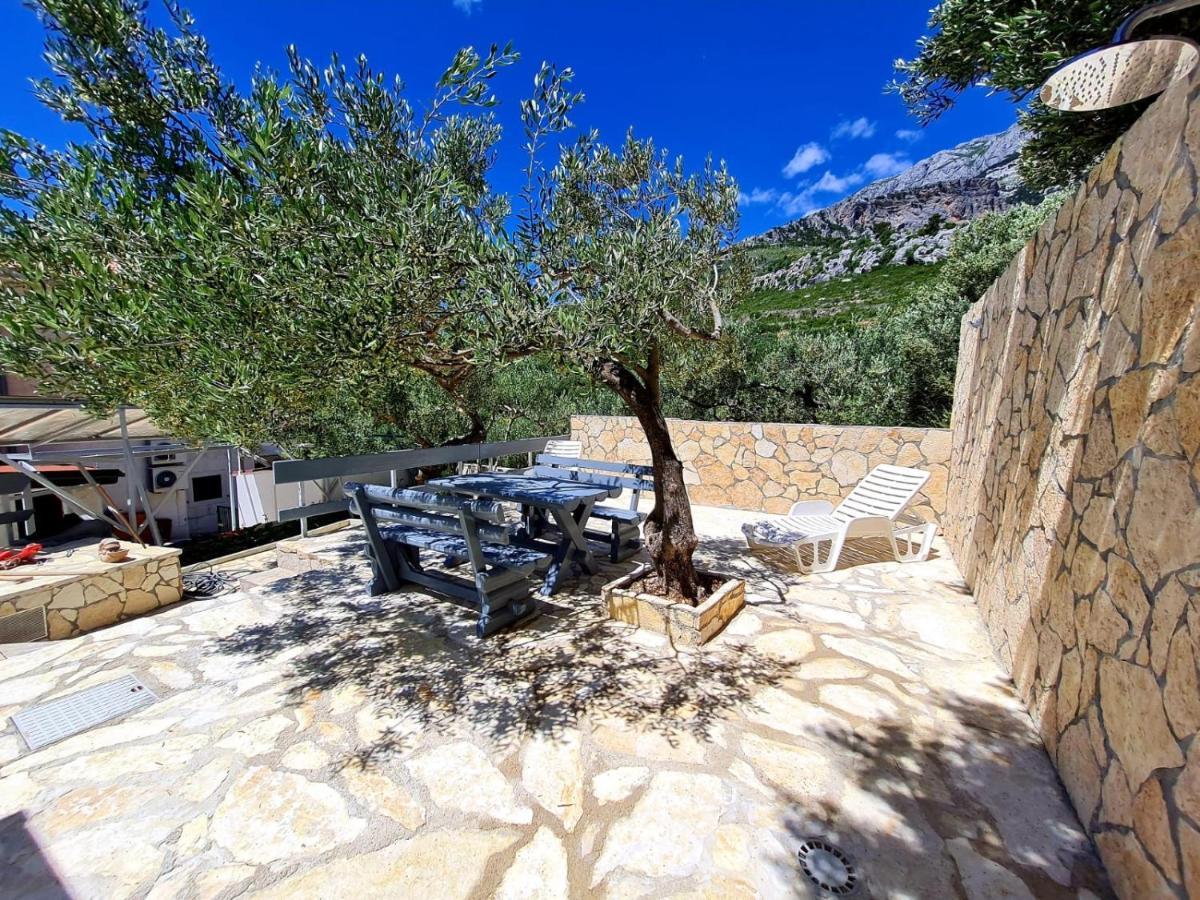 Vila Maslina Apartments Mit Pool Und Garten Nahe Am Strand Tučepi Buitenkant foto