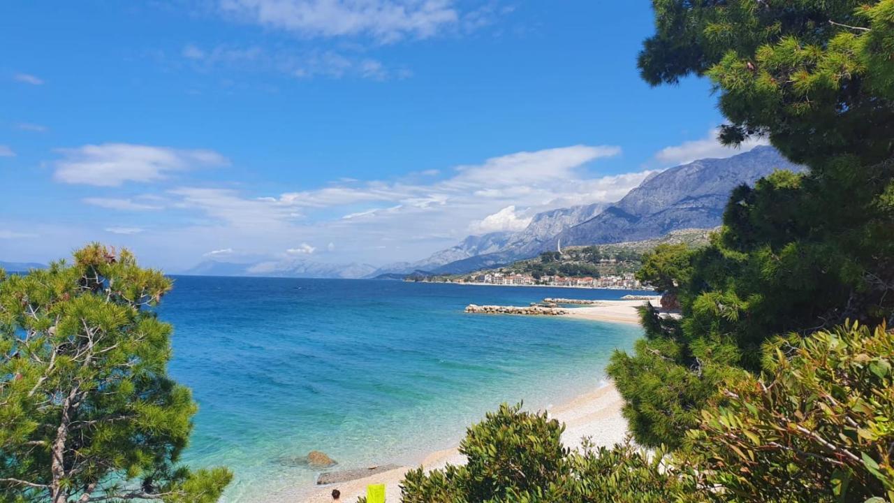 Vila Maslina Apartments Mit Pool Und Garten Nahe Am Strand Tučepi Buitenkant foto