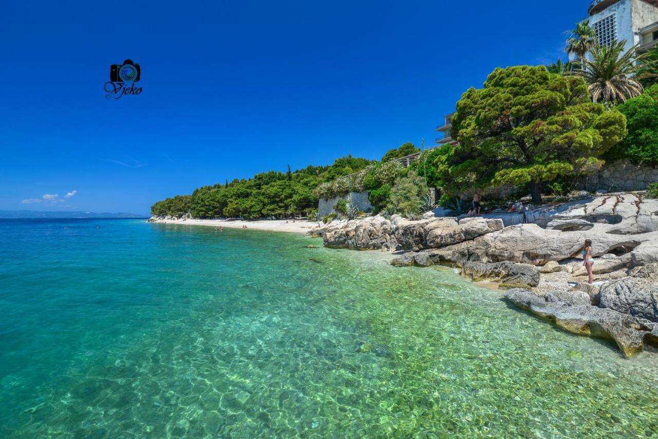Vila Maslina Apartments Mit Pool Und Garten Nahe Am Strand Tučepi Buitenkant foto