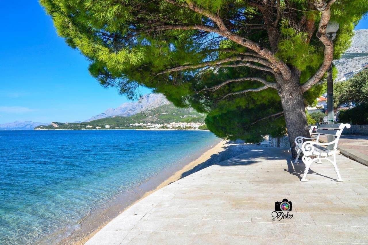 Vila Maslina Apartments Mit Pool Und Garten Nahe Am Strand Tučepi Buitenkant foto